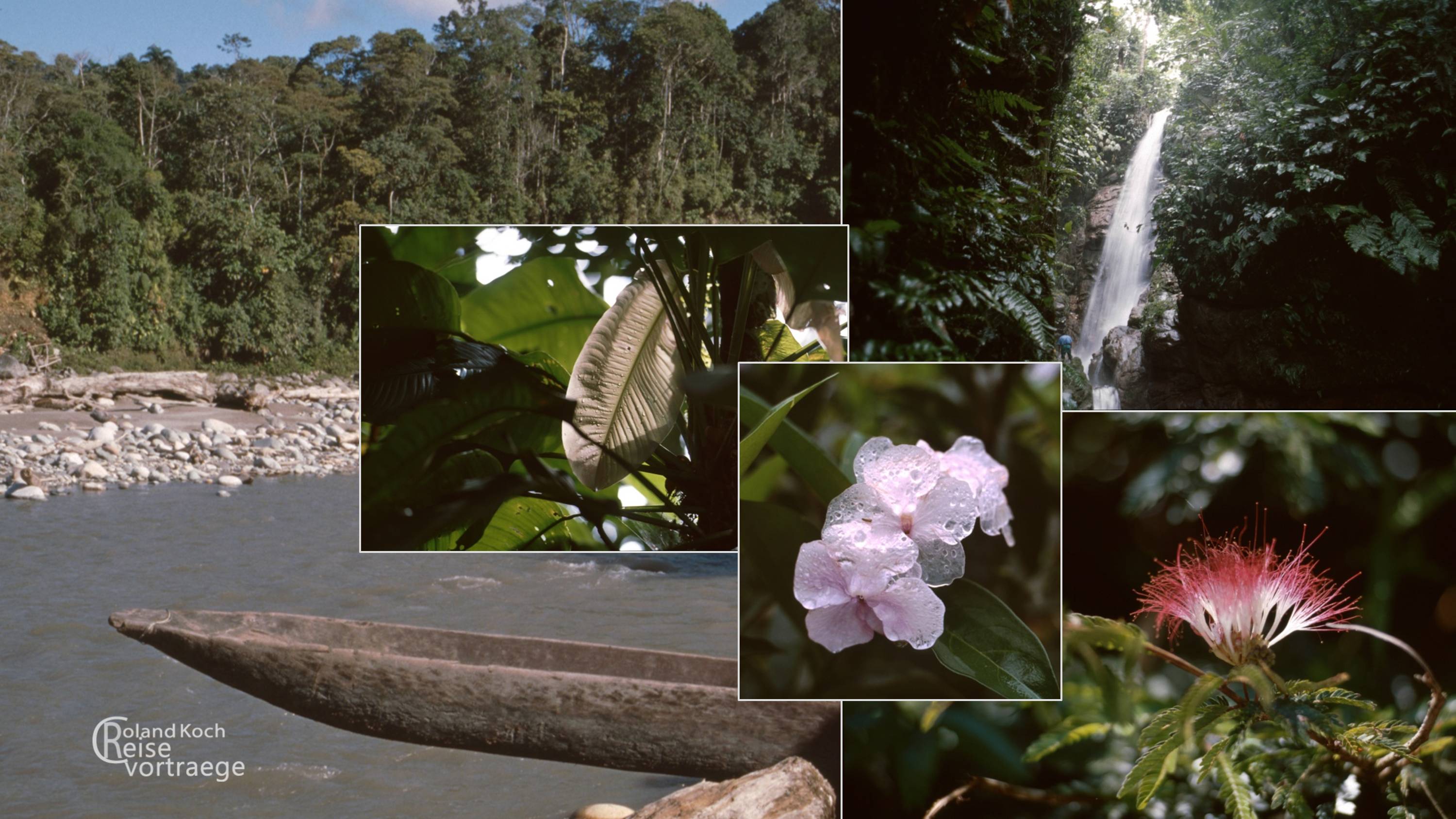 Hintergrundbild, Collage, kostenlos, Wallpaper Galapagos, Ecuador, Natur